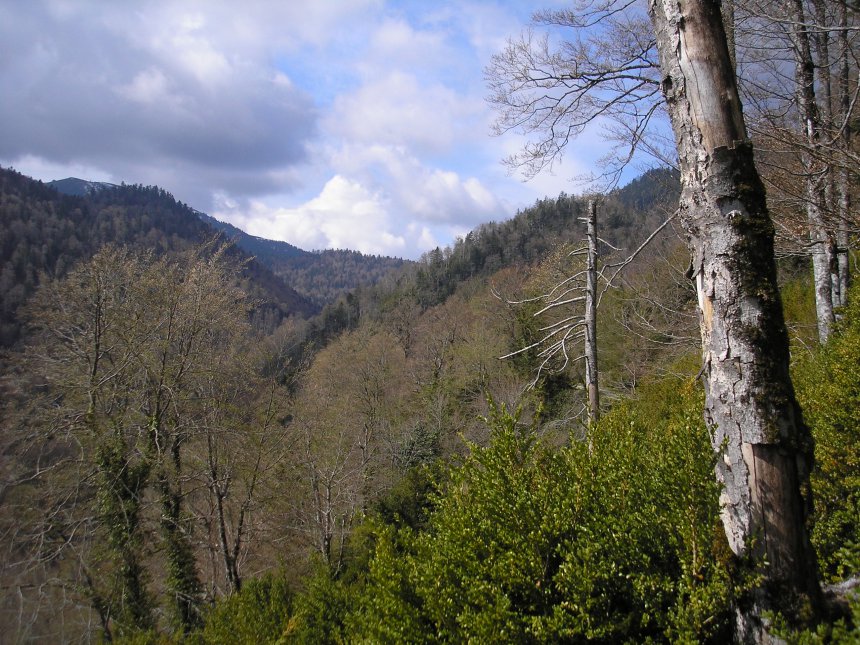 Le col d'Aillos en montant au Cagire à partir du Gîte